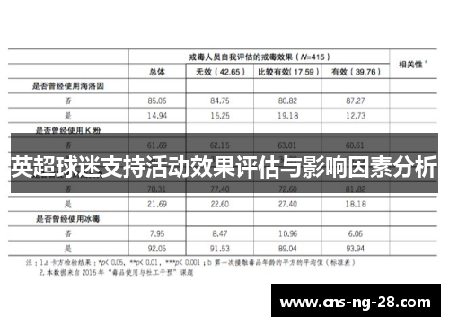 英超球迷支持活动效果评估与影响因素分析 英超球迷支持活动效果评估与影响因素分析
