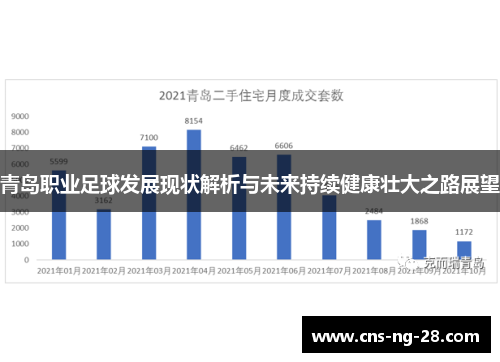 青岛职业足球发展现状解析与未来持续健康壮大之路展望