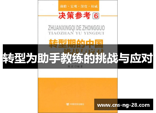 转型为助手教练的挑战与应对